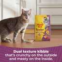 Meow Mix Tender Centers Dry Cat Food with Basted Bites, Chicken & Tuna Flavors, 3 Pound Bag (Case of 4) (EXP 12/02/27)