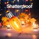 2 x C7 LED Light Bulbs, 12 Pack Halloween Orange Outdoor String Lights Replacement Bulbs, 0.6W E12 Candelabra Base for Patio, Halloween & Christmas Party Decor