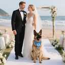 WHTYEFZ Swimming Dog Paddle Blue Dog Bandana, Funny Swimming Dogs Pet Scarf Accessory Photo Prop for Pool Beach, Swim - Themed Pet Scarf for Loving - Swim Pup, Birthday Vocation Gifts for Pup Lover