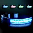 LED Dog Collar - Brightest Light Up Dog Collars - 1,600 Feet of High Visibility - Magnetic Charging - Dog Lights for Night Walking, Daisy Large