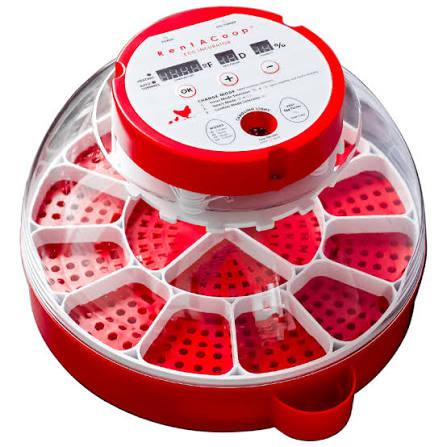 RENTACOOP Egg Incubator for 16 Eggs