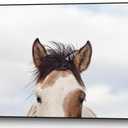 Giant Art Canvas 20x22 Eyes Up Framed In Pink