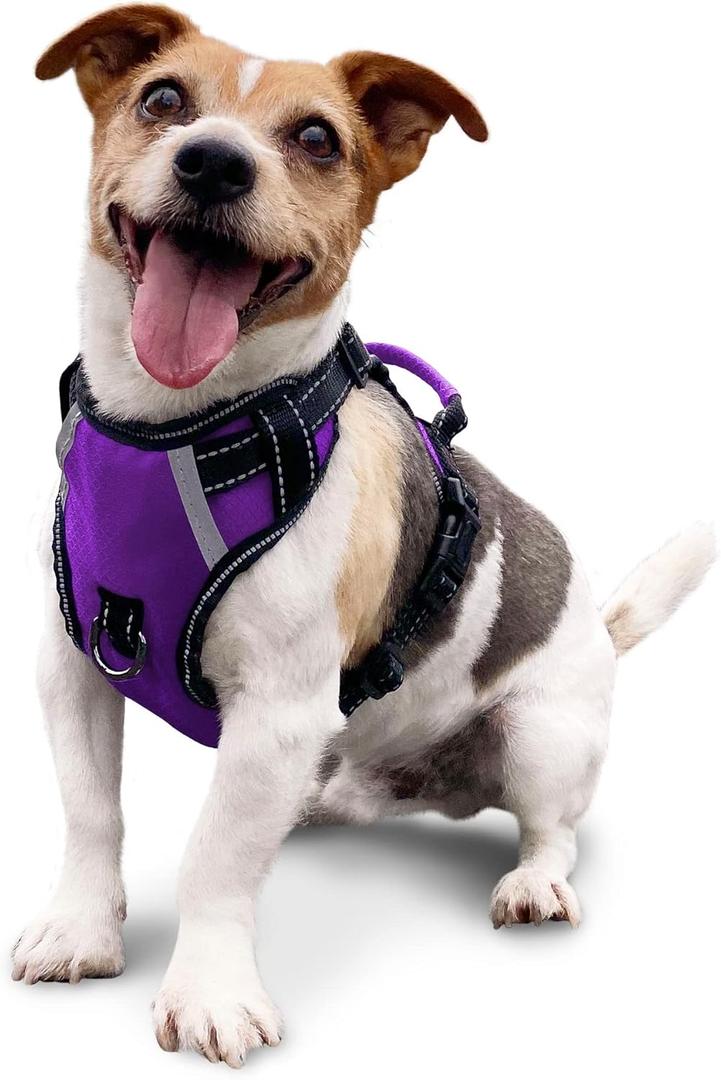 No Pull Dog Harness, Reflective Walking Dog Harness with Easy Control Handle and Front & Back Clips,Adjustable Breathable Soft Padded Dog Vest Harness for Large Medium Small Dogs,Purple,S (Modern Violet)