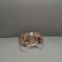 Woman's clothes set SIZE XL ( Beige )