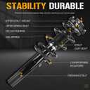 Front Struts Shock Absorber Sway Bar Links Kit Fit for Volkswagen Beetle 2012-2017, for EOS 2007-2011, for Golf 2010-2014, for Jetta 05-17, Replace 172311 K80478 (2Pcs)