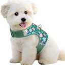 Dog Harness for Small Sized Dog,Hook-and-Loop Easy On/Off, Reflective Adjustable Soft Mesh Vest for Puppy (Green Floral Print,S) (S(Neck:10.5-13.6",Chest:14.8-19.1"))
