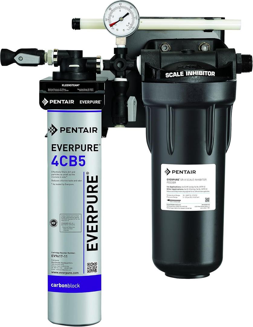 Everpure Model Ct Kleensteam