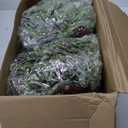 Lyrow 24 Pcs Christmas Candle Rings Wreath Xmas Kitchen Cabinet Mini Wreath Artificial Berries Snowy Pine Candle Ring Holder for Christmas Chandelier Home Table Centerpiece Indoor Decor