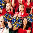 4Pcs Metallic Cheerleading Pom Poms, Creatiee 2 Pair Cheerleader Cheering Squad Pompoms for School Sports Dance Games Team Spirit Cheer