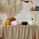 Pumpkin Pillow, Fall Decorative Pillows for Couch, Pumpkin Plush Throw Pillows for Bed (Black, 8.6 Inches)