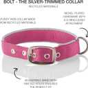Pet Passion Adjustable Silver Trimmed Dog Collar for Pets Small, Medium and Large Dogs, Silver/Hot Pink, X-Large