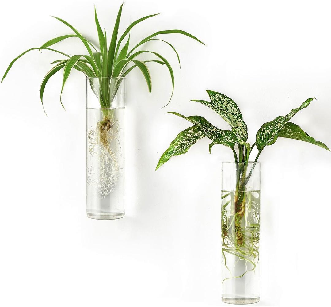 Mkono Propagation Station Wall Planter Hanging Glass Tubes Flower Vase for Hydroponics Plants, Bathroom, Home Office Living Room Decor Gift, Cylinder Set of 2(Plants not Included)