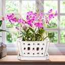 Teenyyou 1 Set Orchid Pot with Holes 7 Inch Ceramic Orchid Pot with Saucers for Repotting Amaryllis Flower Planter Include Gardening Shovel Set and Gloves for Home Decor(White)