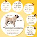 Dog Raincoat: Dog Rain Jacket with Reflective Harness & Removable Hood | Waterproof Dogs Rain Coat Poncho for Large Medium Small Dogs Puppies (Yellow - M)