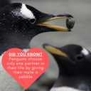 Handmade Gift Ideas for 1st Year Anniversary, 1st Year Anniversary Hand-Painted Gift, 1st Anniversary Couple Present, First Ideas, 1st for Wife, Men