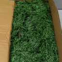 Hananona 9 FT Artificial Cedar Garlands, Real Touch Winter Cedar Pine Garland, Green Artificial Greenery Garland for Table, Mantle, Wall, Indoor, Outdoor Christmas Decorations (1, 9 FT)