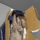 BEDELITE Faux Fur Throw Blanket for Couch, Decorative Tie-Dye Taupe Plush Bubble Blanket - Super Soft & Cozy Fluffy Faux Rabbit Fur Blanket for Women Gift, 50x60 Inches