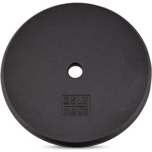 Yes4All Standard 1 Inch Cast Iron Weight Plate - Ideal for Strength Training - 25LB - Single