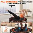K KENSONE 48" Foldable Rebounder Trampoline for Adults with Bungee, 550 LBS Quiet Indoor Mini Trampoline for Adults Fitness with Adjustable T-Shaped Handle Bar for Gym Workout, Home Exercise, Orange