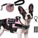 No Pull Dog Harness Small Medium Sized Dog, Service Dog Harness and Leash Set with 4 Patches, Adjustable Easy Walk Dogs Harnesses with Handle, Dogs Vest Harnesses French Bulldog, Chihuahua(Pink, S)