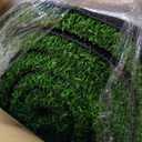 Artificial Grass Turf 3X5FT Synthetic Fake Grass for Pet Dog, 3FTX5FT