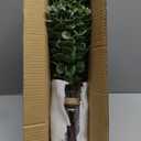 VIERENA 17.5" Artificial Eucalyptus Stems in Glass Vase with Faux Water,Fake Plant Eucalyptus Leaves White Seeds for Centerpiece Table Decorations Farmhouse Wedding Home Greenery Decor (Sage Green)