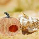 2 x Amosfun Halloween Decoration Resin Pumpkin Cave Reptile Hideout for Turtles Frogs and Lizards - Halloween Party Terrariums and Aquariums Decoration