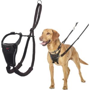 HALTI No Pull Harness - To Stop Your Dog Pulling on the Leash. Adjustable, Lightweight and Easy to Use. Reflective Dog Training Harness for Medium Dogs (Size M) (Black)