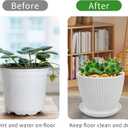 Round Plastic Plant Saucers Set, 6-Pack, 7.6 Inches (6.4 Inch Base) Pot Drip Trays, Ideal for Indoor and Outdoor Home Garden Flower Pot Containers. (White)