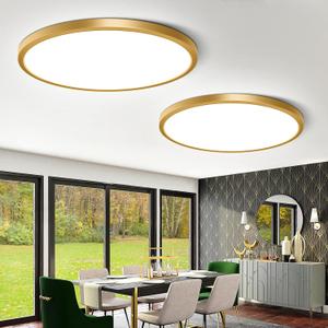 12 Inch Gold LED Ceiling Light Flush Mount, 5000K Daylight White Flat LED Ceiling Light, 24W 3200LM, Round Flat Gold Light Fixture for Bedroom, Kitchen, Hallway (2 Pack)