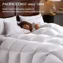 Pacific Coast Bed Pillows for Side and Back Sleepers, Feather and Down Hotel Pillows with 100% Cotton Shell, Medium Supportive, Downproof, King Size 2 Pack