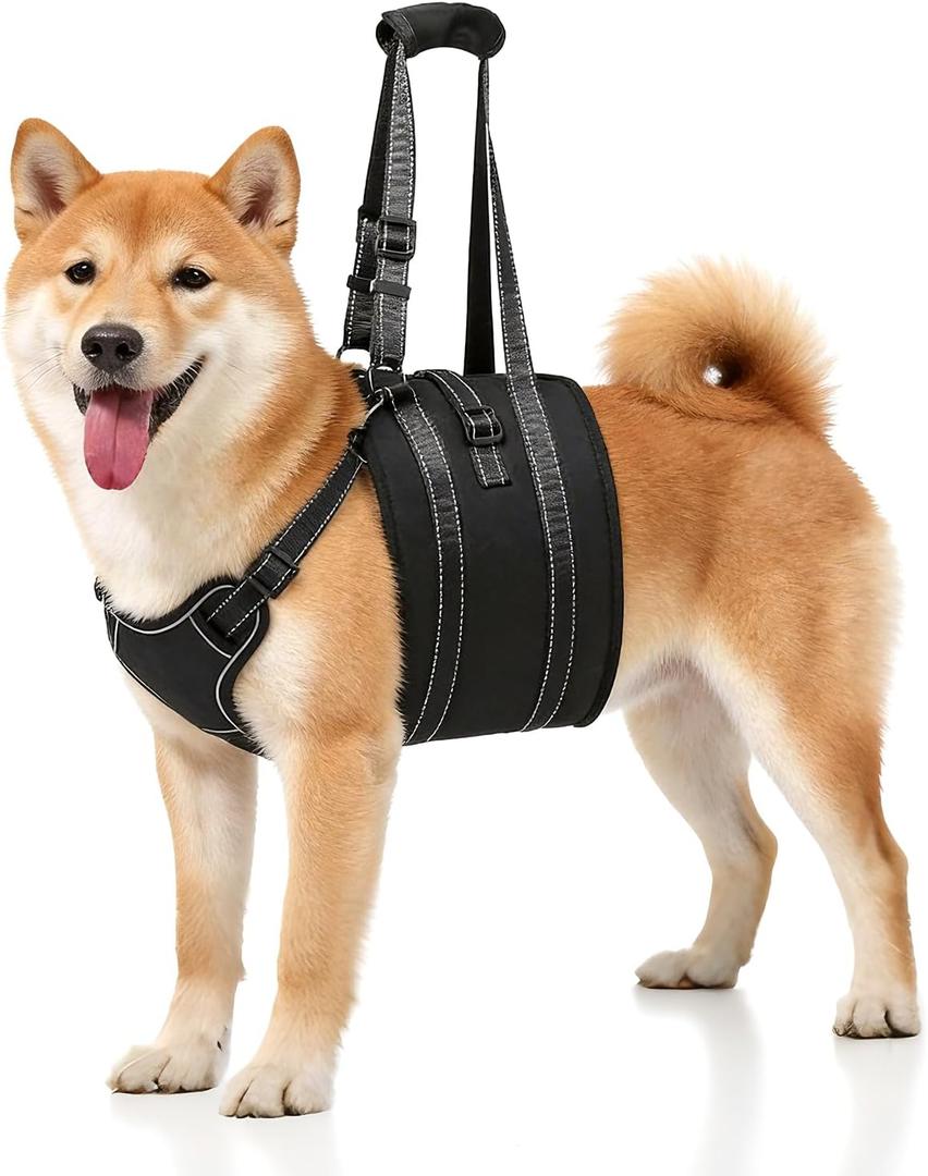 NOYAL Dog Lift Harness Sling - Adjustable Pet Carrier for Senior Dogs with Arthritis Joint Injuries, Emergency Support Rehabilitation Aid for Nail Trimming, Stairs Assistance M
