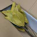 Briful Artificial Magnolia Tree in Black Pot  26.3in Tall Faux Magnolia Greenery Plant Fake Potted Silk Tree for Home Office Room Kitchen Outdoor Porch Dcor