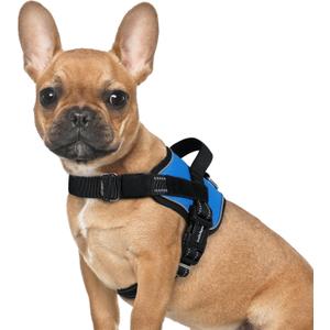 rabbitgoo Dog Harness Medium Sized, Easy On Pet Vest with One Buckle, No Pull Adjustable Service Harness with D-Ring & Handle, Reflective for Safety Walking, Training, Blue, M