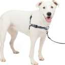 PetSafe Easy Walk Deluxe Dog Harness, No Pull Dog Harness  Perfect for Leash & Harness Training  Stops Pets from Pulling and Choking on Walks  Medium/Large, Steel