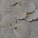 10PCS 4-5 inch Large Sea Shells White Scallop Shells for Crafts Baking Cooking Serving Food, Natural Seashells for DIY Crafts Seashell Beach Decorations for Ocean Themed Parties and Home Decor