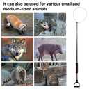 60"-92" Animal Catch Pole Control Tool Noose Holder Net Kit for Dogs Feral Cat Raccoons Hog Pig Fox Coyote Bulldog Wolf Goat Lizards Boar Bichon Calf Piglet Gator