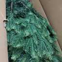 5FT Prelit Artificial Christmas Tree, Pre Lit Christmas Tree with 250 Lights and 1316 Branch Tips, Lighted Hinged Xmas Trees with Foldable Metal Stand for Party, Holiday, Home, Office (Green)