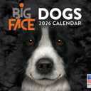 Vincent Hie Big Face Dog Calendar 2026 Monthly Wall Calender 12 Month | American Made In The USA