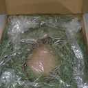 Gandeer Christmas Placemats Set of 6 Round Greenery Place Mats Xmas Circular Artificial Wreath Dining Table Decor Winter Fake Plants Branches Mats for Kitchen Accessories (Pine Needles)