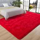 Fluffy Red Rugs for Bedroom Living Room, Shag Dorm Area Rug, 4x6 Ft
