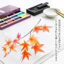 2 x Sumikundo 15504 Painting, Face Color, 12 Colors