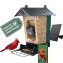 Perky-Pet Solar Powered Smart Bird Feeder with Camera - Squirrel-Resistant, 3.2L Capacity, Motion Activated 1080p HD WiFi Live Stream Camera, SPCAM, SPCAMSLR - Camera Feeder Gift Idea, Forest Green