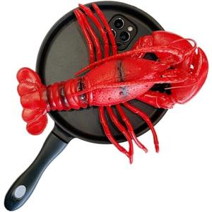 TRADAY Funny Lobster Phone Case Compatible with iPhone 17 Pro Max 3D Frying Pan Phone Case Novelty Food Cases
