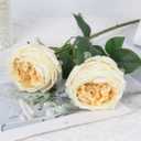 IPOPU 5PCS Real Touch Austin Roses Champagne Flowers Peony Artificial Flowers Fake Roses with Stems for Wedding Bouquet Party Home Decor(Champagne)