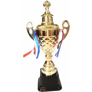 Large Metal Gold Trophy Cup for Competitions, Gold-Tone Plated Award Winning Trophy Cup, Golden Winner Award Trophies Cup for Sports Championships, Tournaments, Recognition, Achievement, Party Favors
