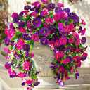Artificial Hanging Flowers Fake Plants Outdoor,Silk Morning Glory Faux Flowers with Eucalyptus Leaf,UV Resistant Realistic Hanging Petunias Plants for Home Garden Decor (Purple+Fuchsia)