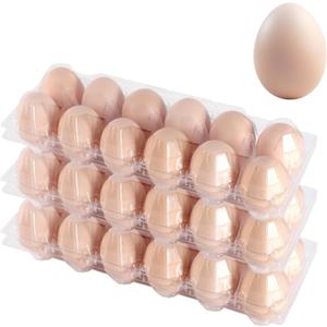 120 Pcs 12 Count Plastic Egg Cartons Cheap Bulk, 2x6 Grids Clear Empty Egg Cartons, Clear Egg Containers for Fresh Chicken Eggs for Chicken Farm Business Market, Refrigerator Use, 28.2 x 10 x 7 cm