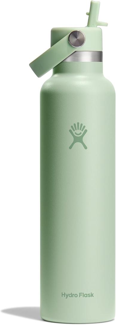 Hydro Flask Water Bottle - Insulated Stainless Steel - Straw Lid, Non Spill, Leakproof 24 Oz Aloe Green