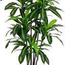 Artificial Dracaena Tree 6FT - Faux Tree with Black Tall Planter - Fake Tropical Yucca Floor Plant Potted - Artificial Silk Tree for Home Office Living Room Decor Indoor